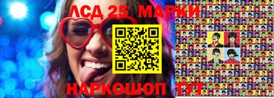 индика Можайск