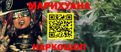 индика Можайск