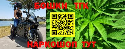 индика Можайск